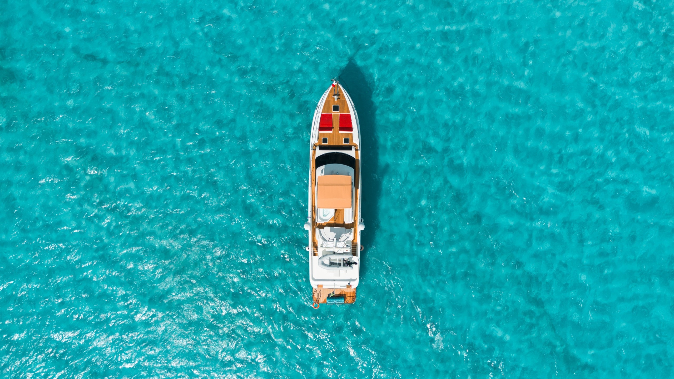 VIVE Dyna Craft — fotografía 1 de 9, renta de yate en Cancún